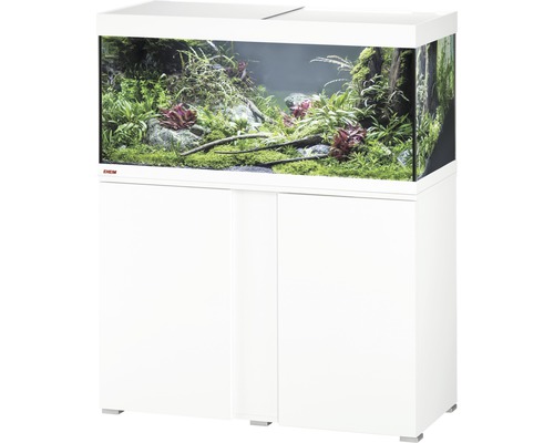 Ensemble complet d''aquarium avec meuble bas et plantation