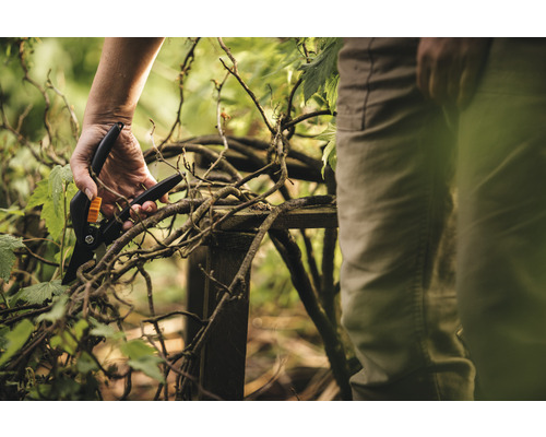 Eine Person benutzt eine Gartenschere, um Äste zu schneiden.