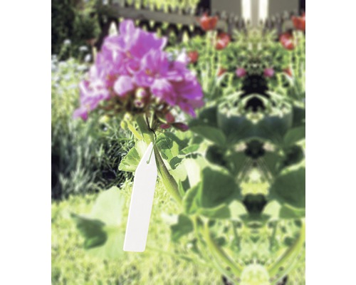 Fleur avec étiquette dans le jardin