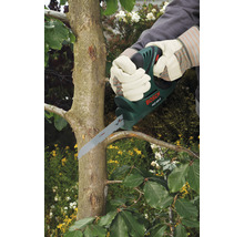 Personne coupant une branche d''arbre avec une scie à branches