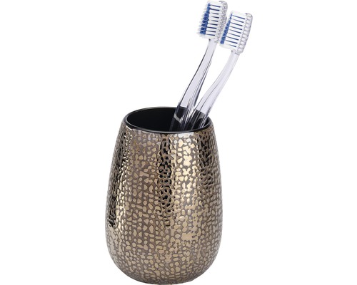 Porte-brosses à dents avec deux brosses à dents