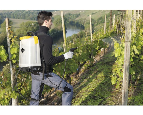 Une personne utilise un pulvérisateur à dos pour la lutte antiparasitaire dans le vignoble.