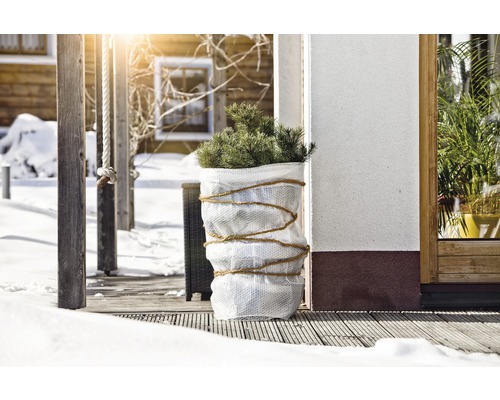 Arrangement hivernal avec plante en pot sur une terrasse