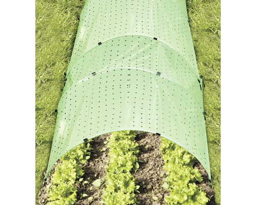 Plate-bande de légumes avec tunnel en film perforé pour la protection des plantes