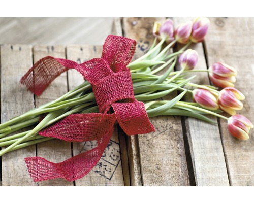 Tulpenstrauß mit Schleife auf Holzkiste