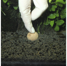 Main plaçant une boule d''engrais dans du gravier d''aquarium