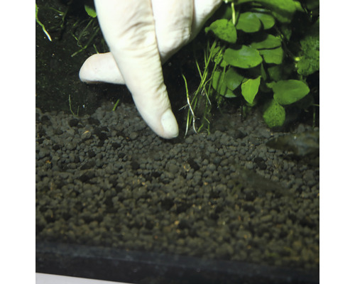 Insertion de plantes aquatiques dans du gravier d''aquarium