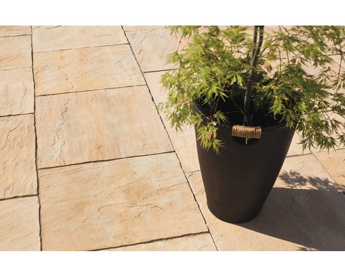 Verlegte Gartenplatten mit Pflanze im Topf