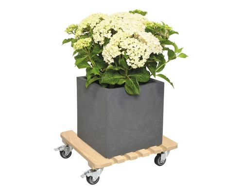 Cache-pot carré avec hortensia sur un plateau à roulettes en bois