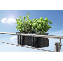 Jardinière de balcon avec des herbes aromatiques fixée à la balustrade