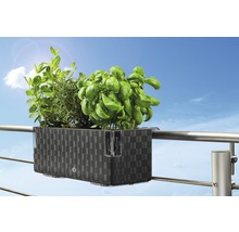Jardinière de balcon avec herbes aromatiques sur la rambarde