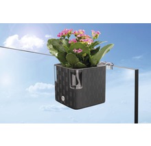 Jardinière avec système d''irrigation et fleur de Kalanchoe