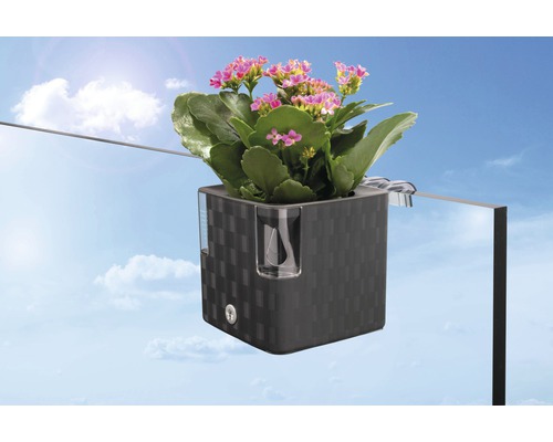 Jardinière avec système d''irrigation et fleur de Kalanchoe