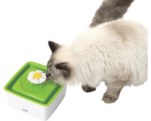 Katze trinkt aus einem Katzenbrunnen mit Blumenaufsatz