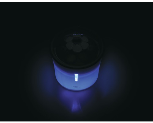 Katzenbrunnen mit blauem Licht