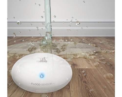 Wasseraustrittssensor auf Holzboden unter Wasser