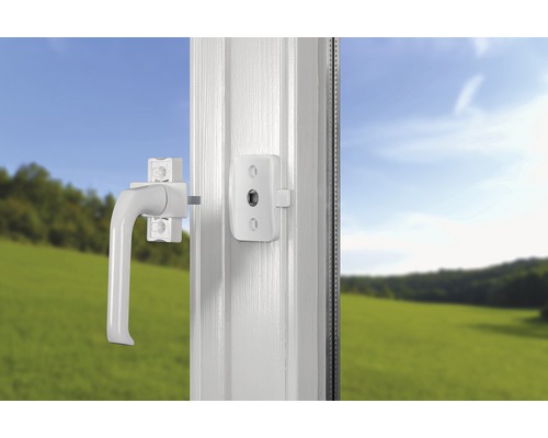 Fenêtre avec poignée de fenêtre et ferrures