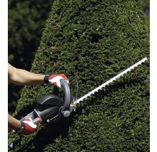 Eine Person schneidet eine Hecke mit einer Heckenschere.