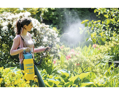Frau verwendet Gloria Prima 5 Drucksprühgerät zur Gartenpflege.