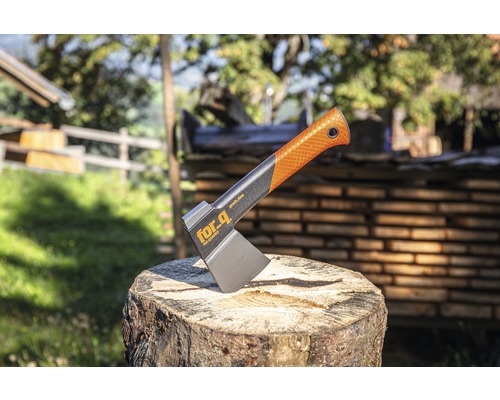 Hache sur une souche d''arbre avec le logo For.q