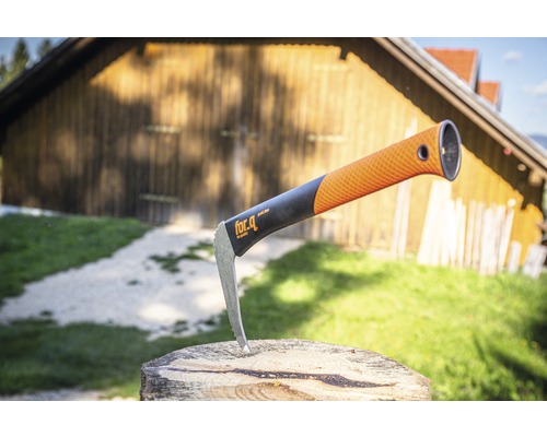 for.q Sappie im Holzstamm