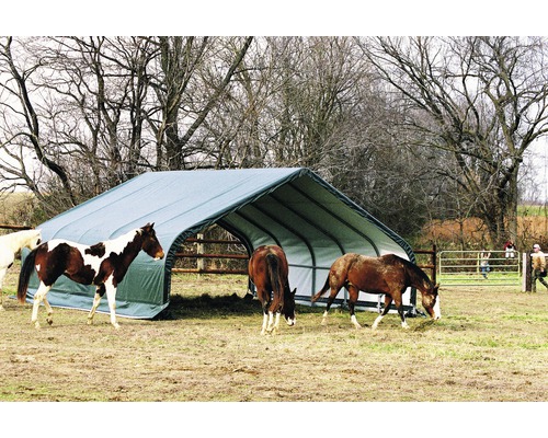 Pferdeunterstand mit mehreren Pferden auf einer Weide