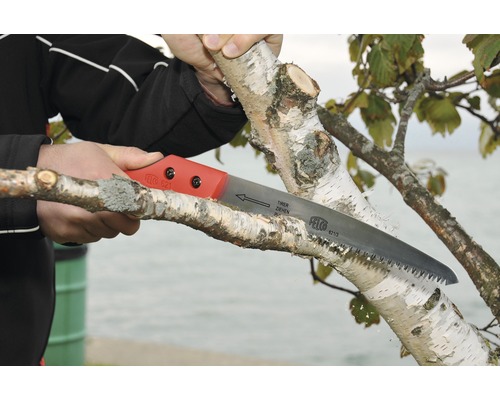 Personne coupant une branche avec une scie à main