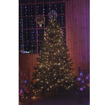 Sapin de Noël décoré avec des guirlandes lumineuses dans une pièce.