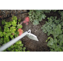 Hacke zur Bodenbearbeitung im Garten zwischen Pflanzen
