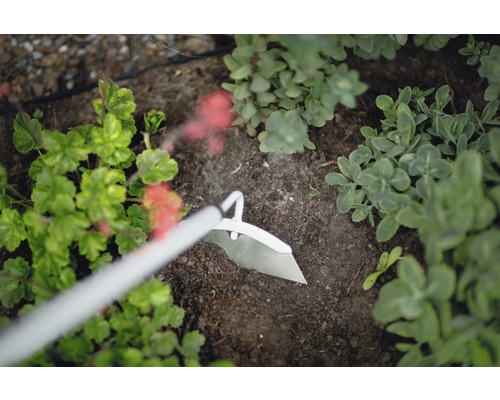 Houe pour le travail du sol dans le jardin entre les plantes