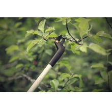 Sécateur coupant une branche avec des feuilles.