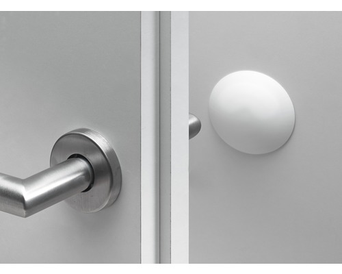Poignée de porte en acier inoxydable et butoir de porte rond sur une porte