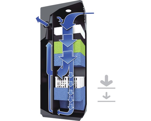 Illustration d''un filtre d''aquarium avec des flèches indiquant le flux d''eau