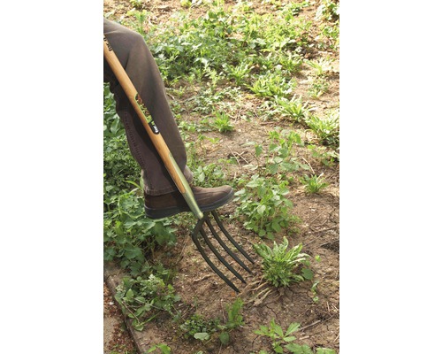 Une personne utilise une fourche bêche dans le jardin pour enlever les mauvaises herbes.