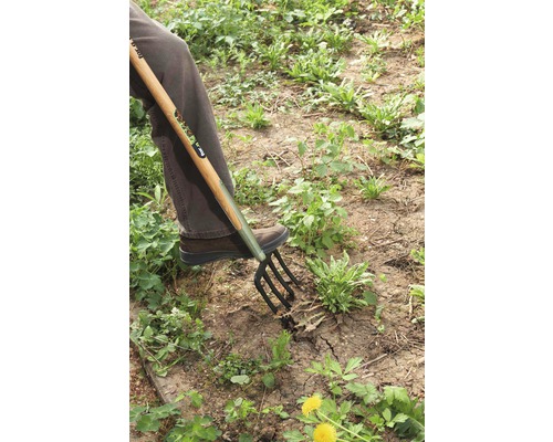 Une personne utilise une fourche-bêche pour jardiner.