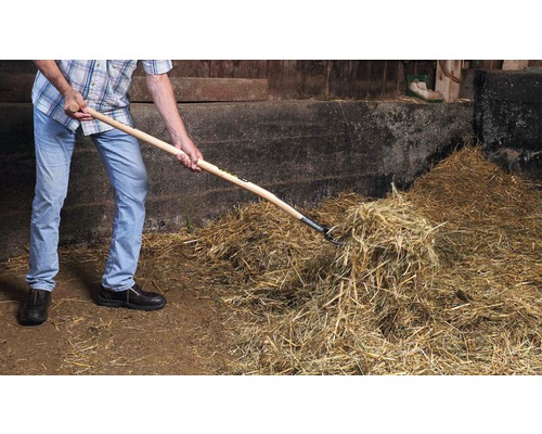 Homme déplaçant du foin avec une fourche à foin dans une étable.