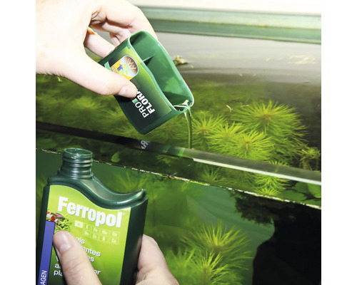 De l''engrais pour plantes d''aquarium est versé dans un aquarium