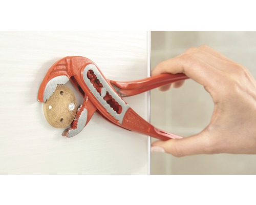 Eine Hand hält eine Rohrzange, die eine Rosette umfasst.