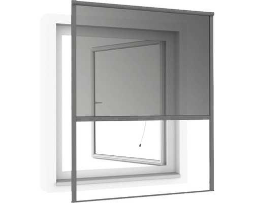 Fenêtre avec store moustiquaire