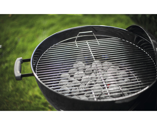 Barbecue rond avec grille et charbon de bois