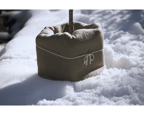 Arbre planté dans un sac de jute sur la neige