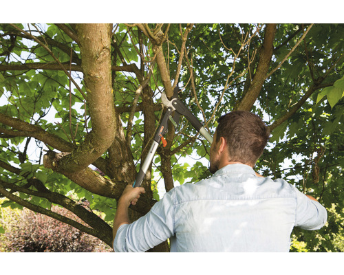 Un homme coupe des branches d''arbre avec un ébrancheur