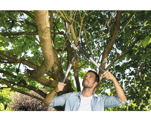 Un homme coupe un arbre avec un ébrancheur dans le jardin