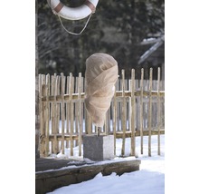 Jardin en hiver avec housse de protection pour plantes et décoration