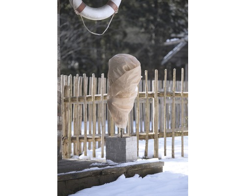 Jardin en hiver avec housse de protection pour plantes et décoration