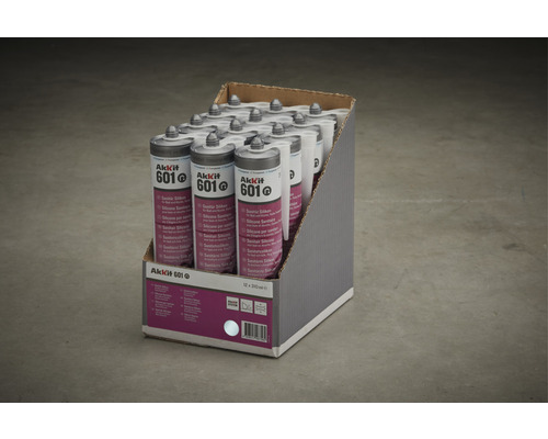 Akkkit 601 Sanitär Silikon Kartuschen im Karton