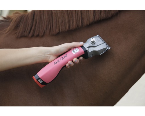 Logo Aesculap. Tondeuse pour crins de cheval en cours d''utilisation sur un cheval