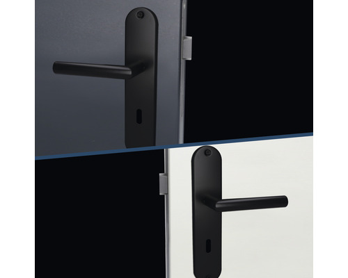 Türbeschlag mit Griff und Langschild