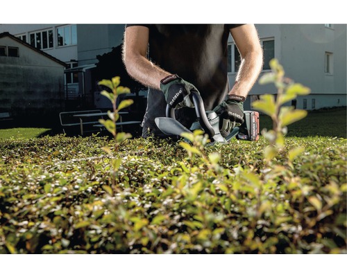 Eine Person schneidet eine Hecke mit einer Akku-Heckenschere.