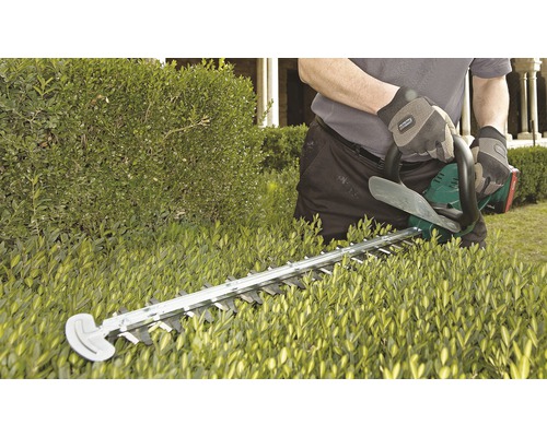 Eine Person schneidet eine Hecke mit einer Heckenschere.